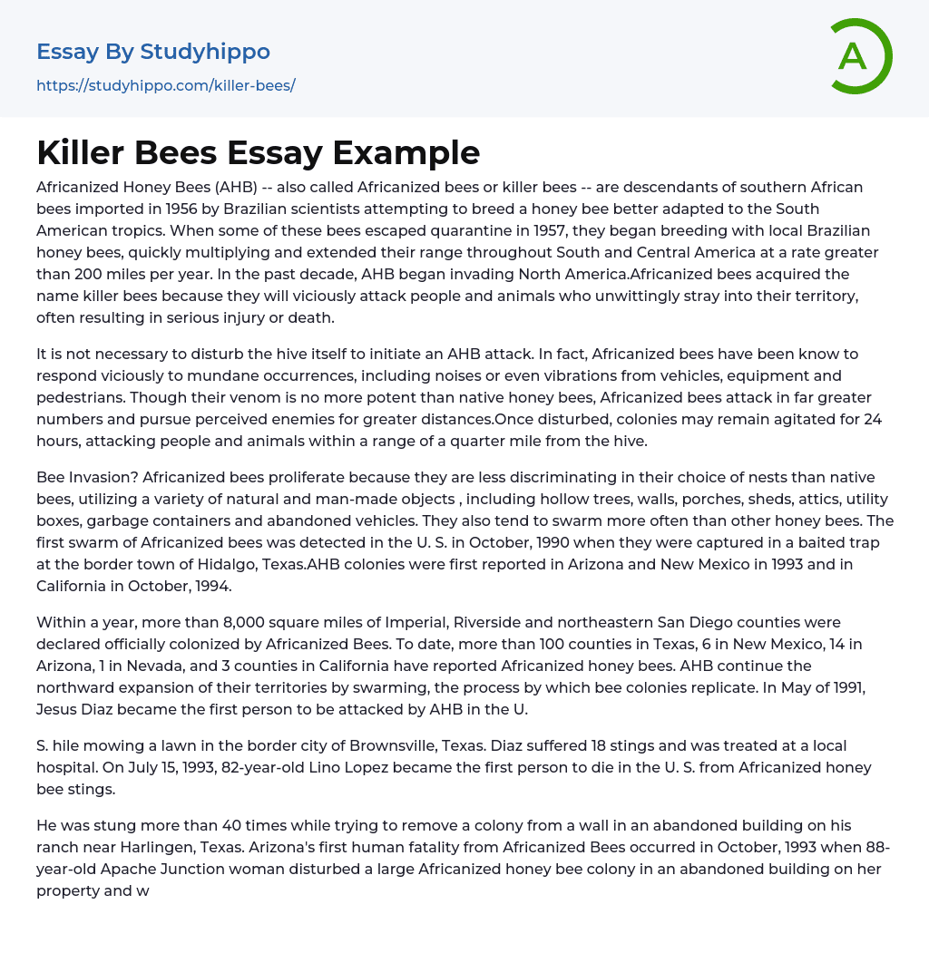 Killer Bees Essay Example