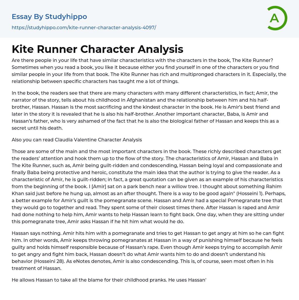 Kite Runner Character Analysis Essay Example