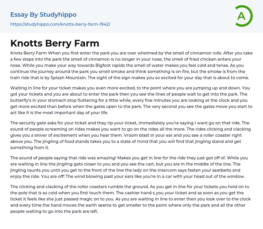 Knotts Berry Farm Essay Example