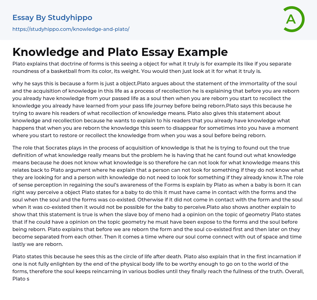 Knowledge and Plato Essay Example