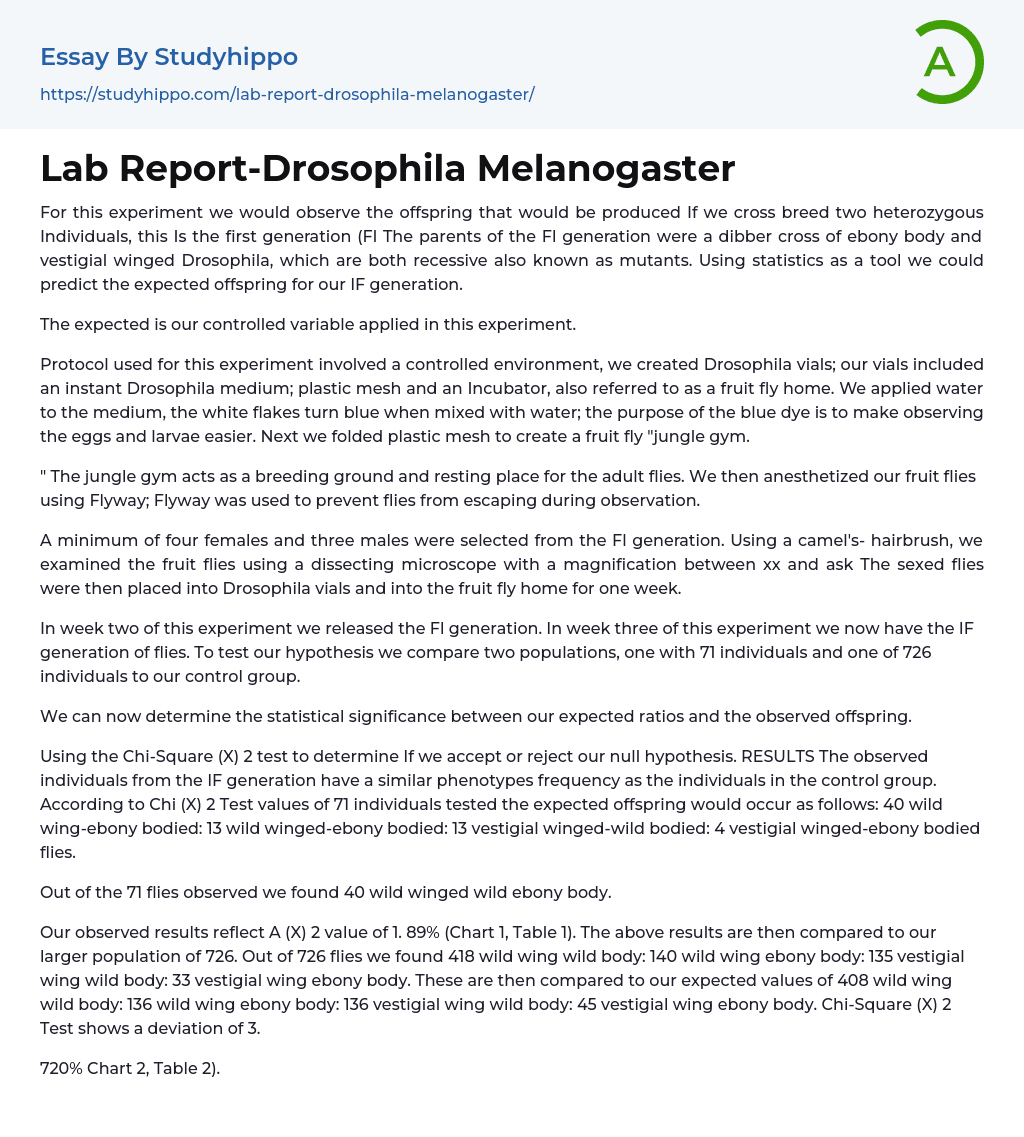 Lab Report-Drosophila Melanogaster Essay Example