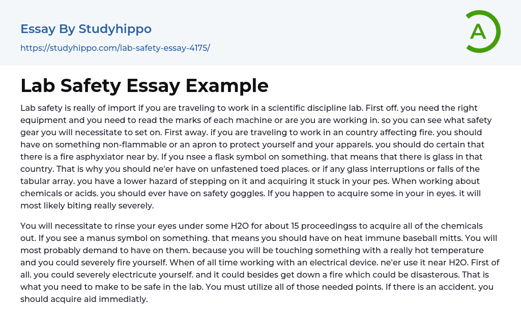 Lab Safety Essay Example