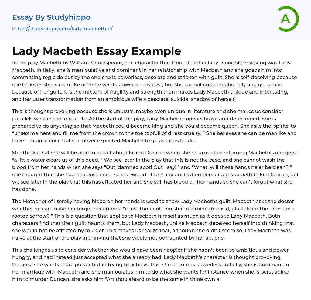 Lady Macbeth Essay Example