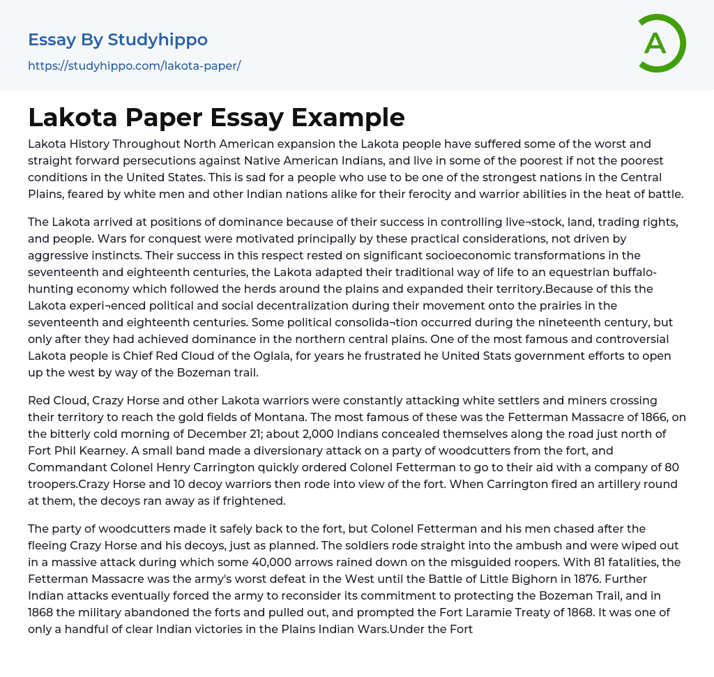 Lakota Paper Essay Example