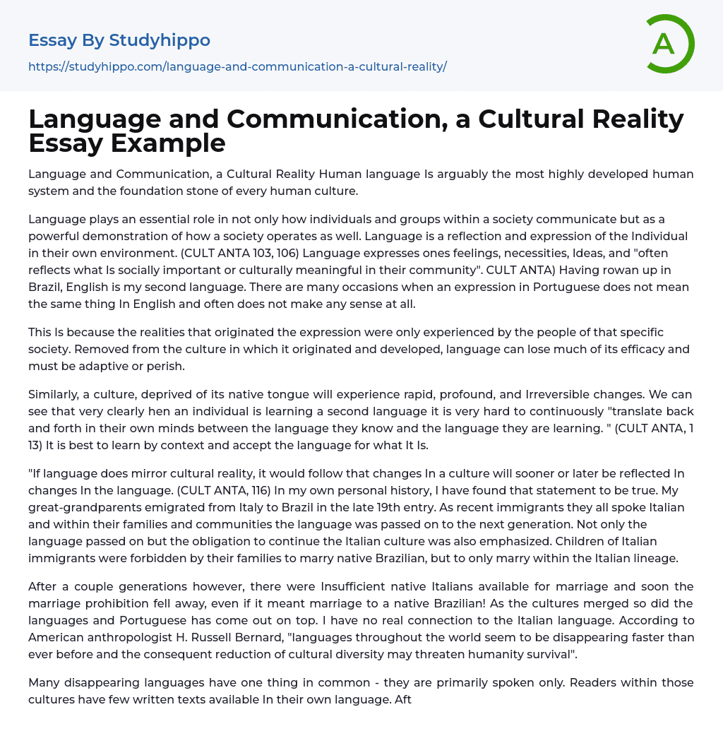 Language and Communication, a Cultural Reality Essay Example