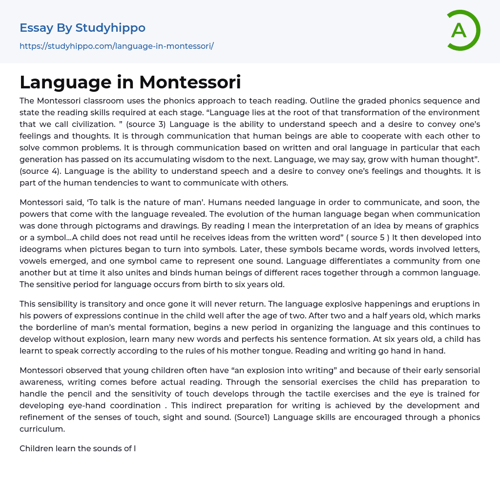 Language in Montessori Essay Example