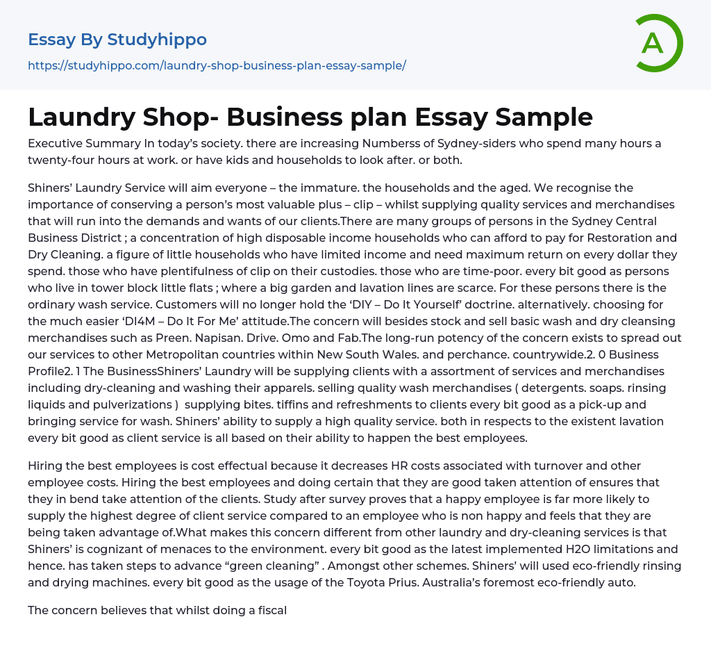 Laundry Shop- Business plan Essay Sample