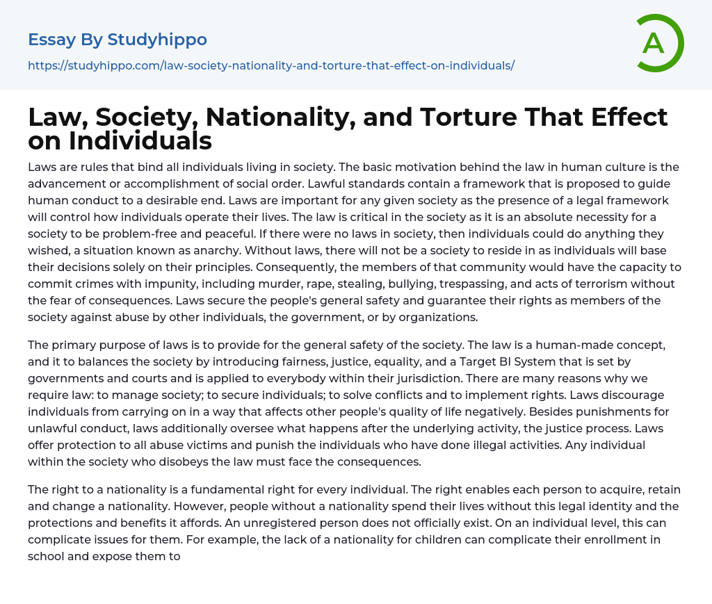 Law, Society, Nationality, and Torture That Effect on Individuals Essay Example