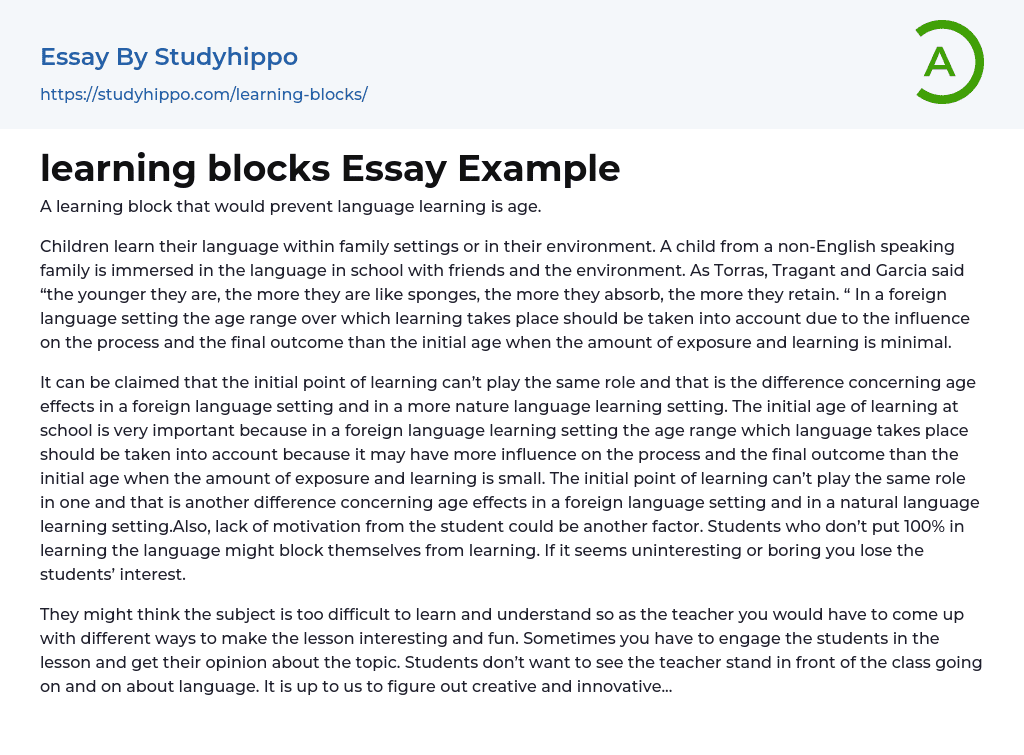 learning blocks Essay Example