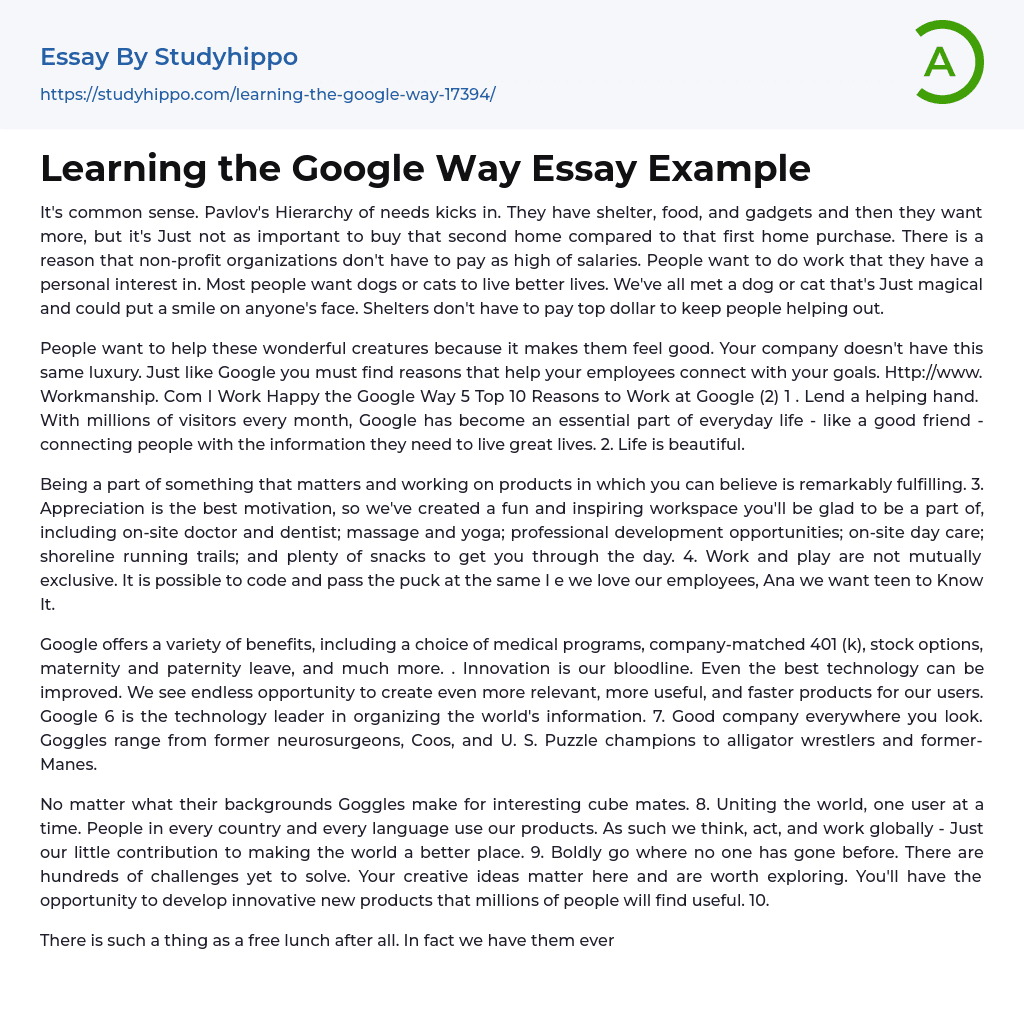 Learning the Google Way Essay Example