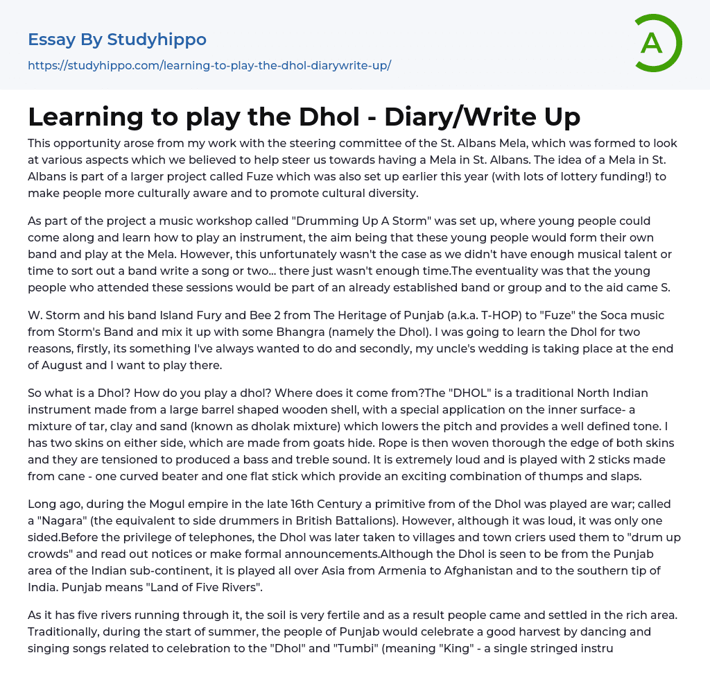 Learning to play the Dhol – Diary/Write Up Essay Example