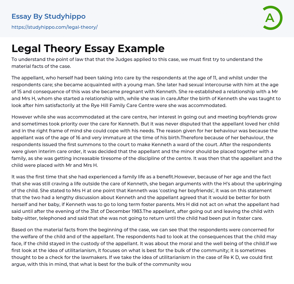 Legal Theory Essay Example