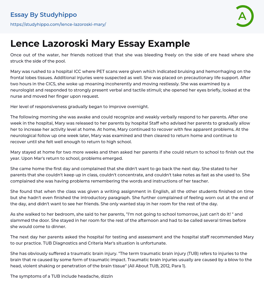 Lence Lazoroski Mary Essay Example