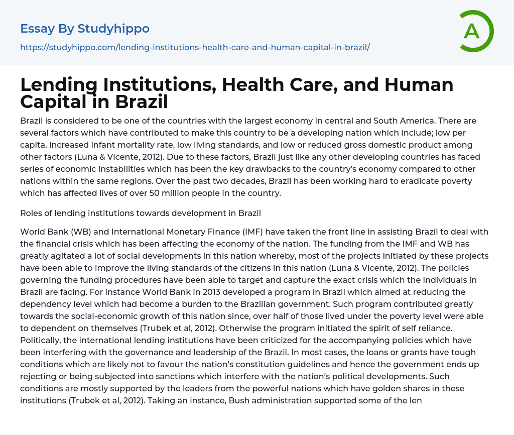Lending Institutions, Health Care, and Human Capital in Brazil Essay Example