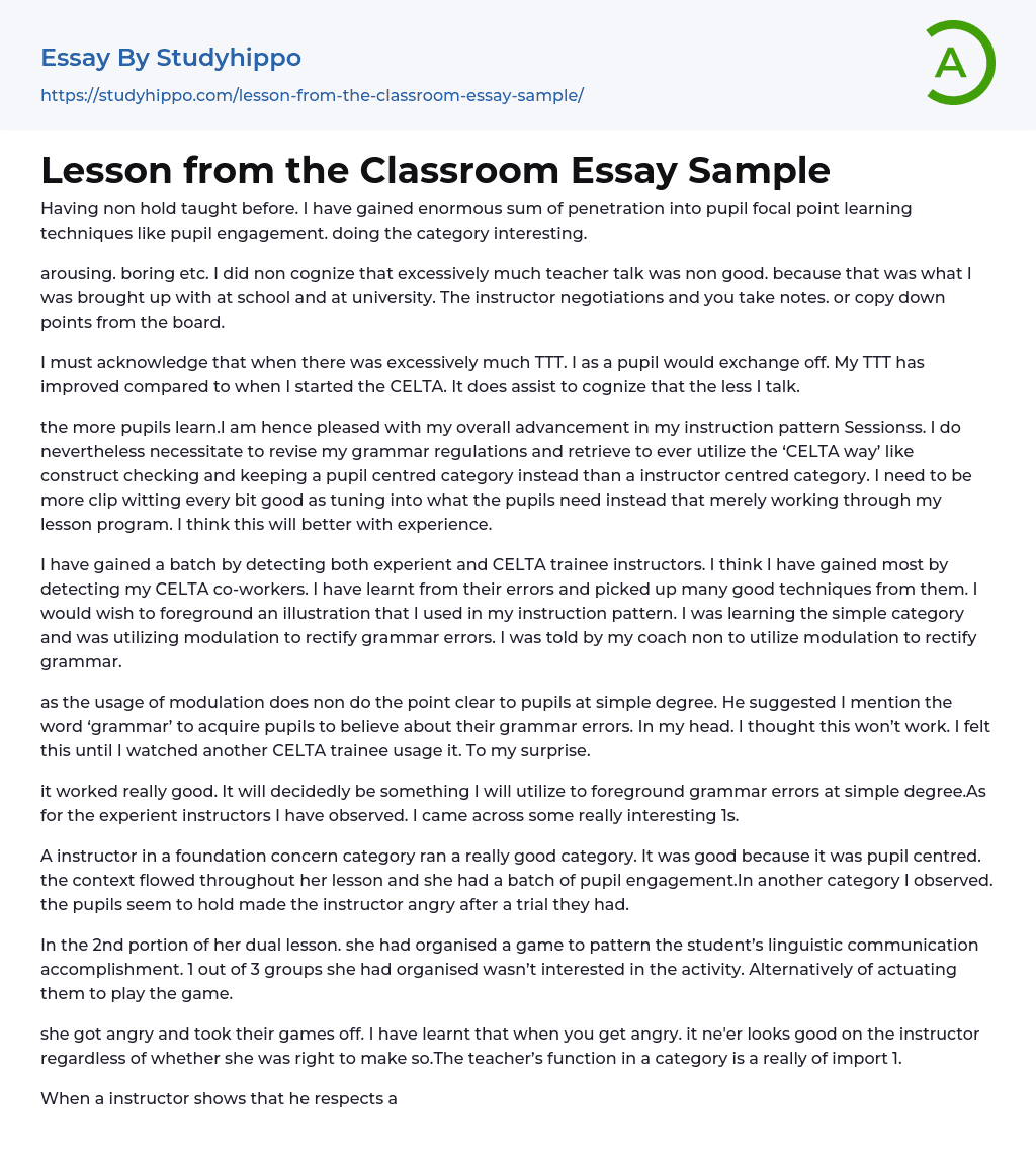 Lesson from the Classroom Essay Sample
