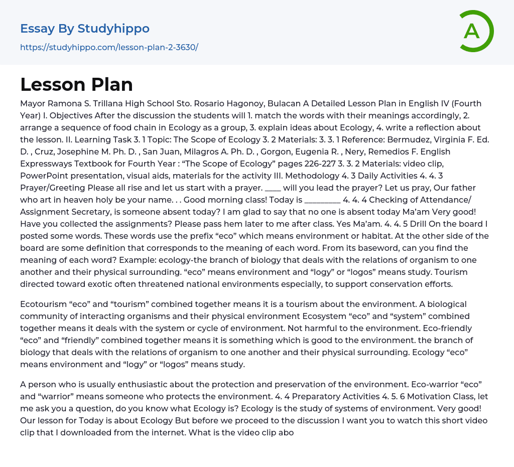 Lesson Plan Essay Example