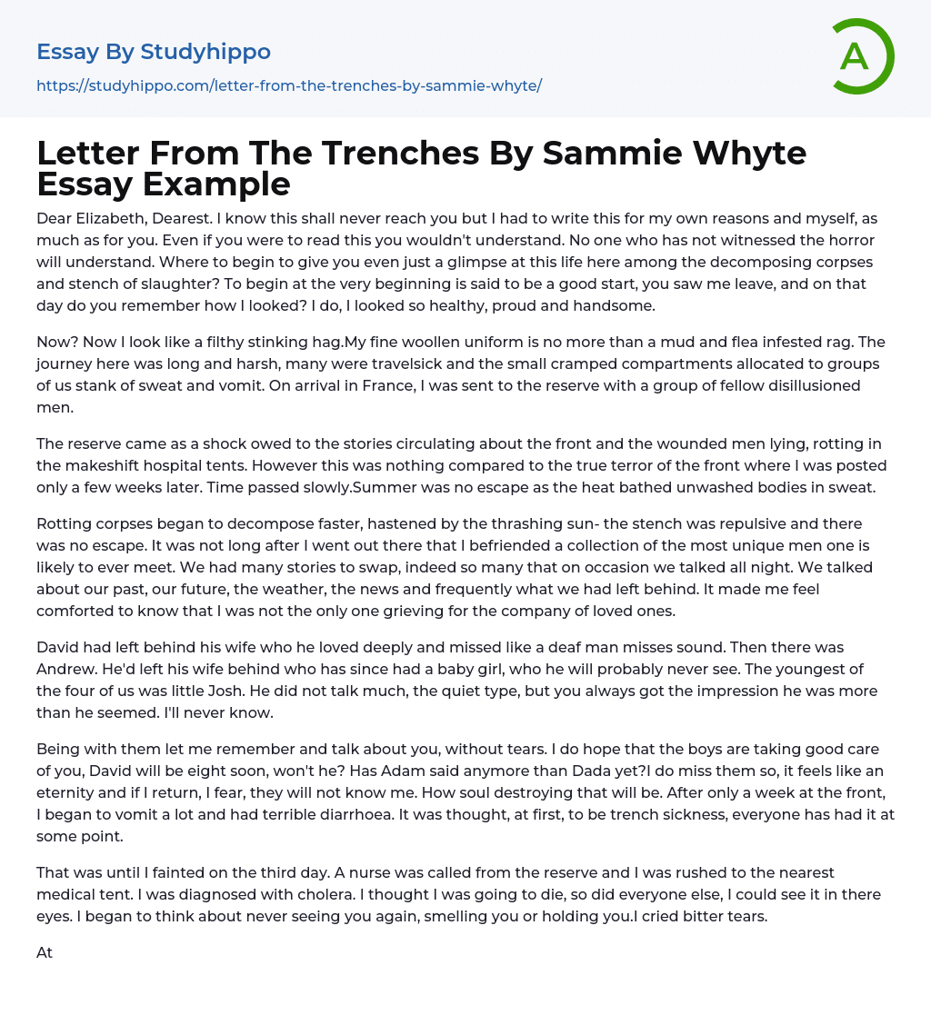 Letter From The Trenches By Sammie Whyte Essay Example