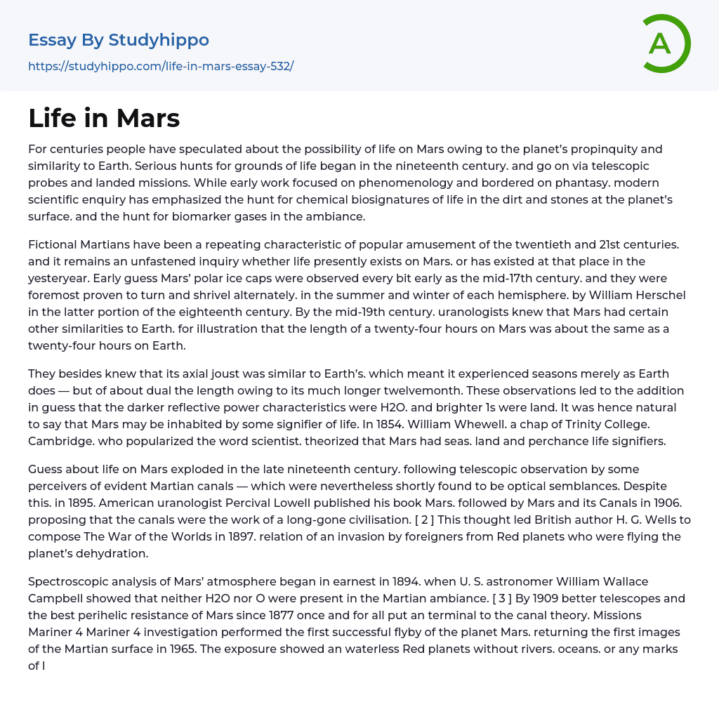 Life in Mars Essay Example