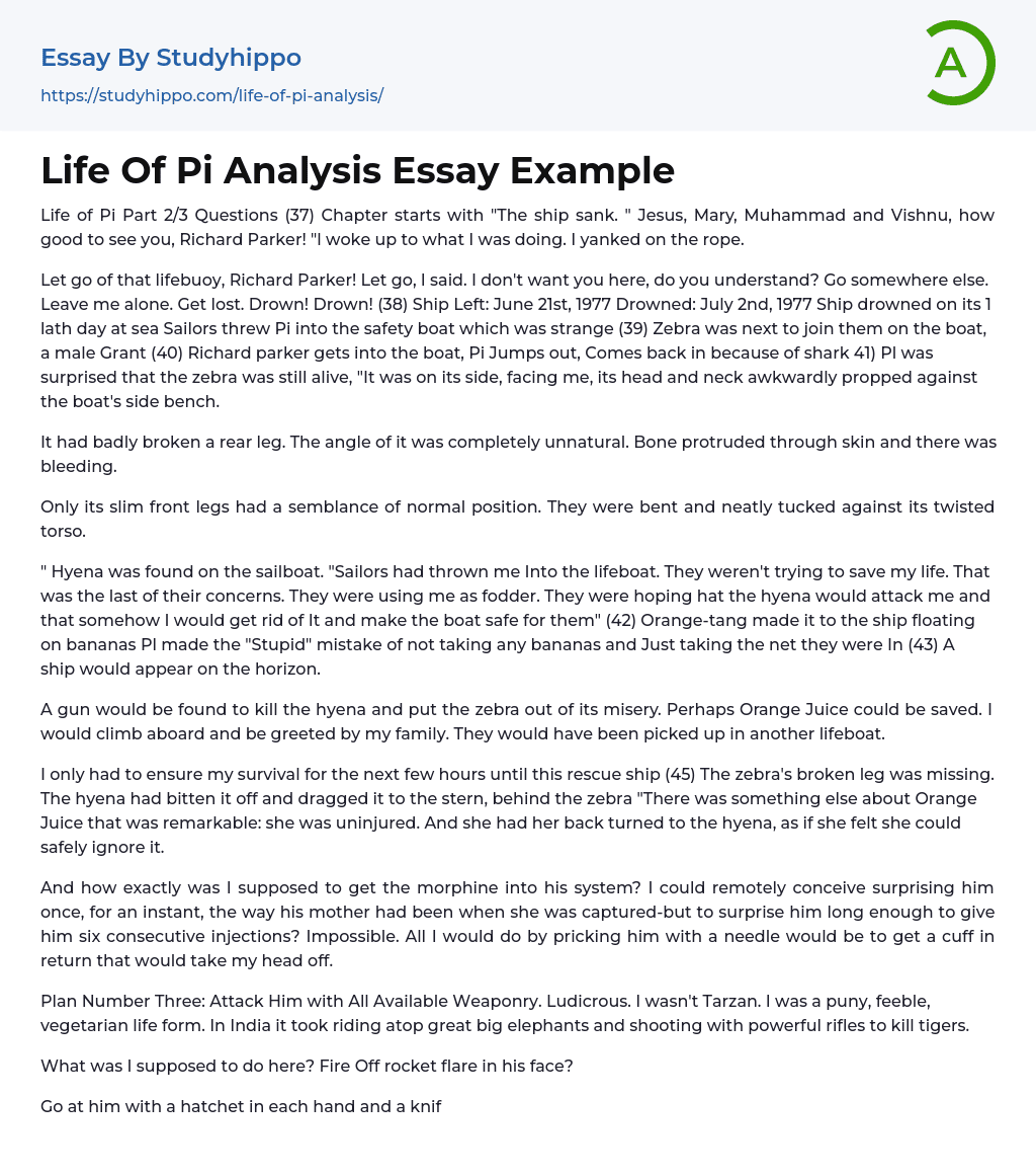 Life Of Pi Analysis Essay Example