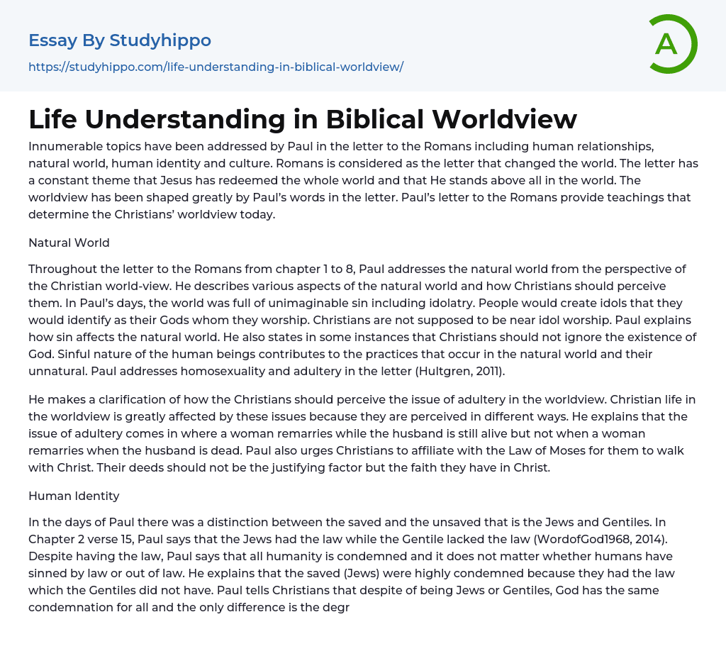 Life Understanding in Biblical Worldview Essay Example