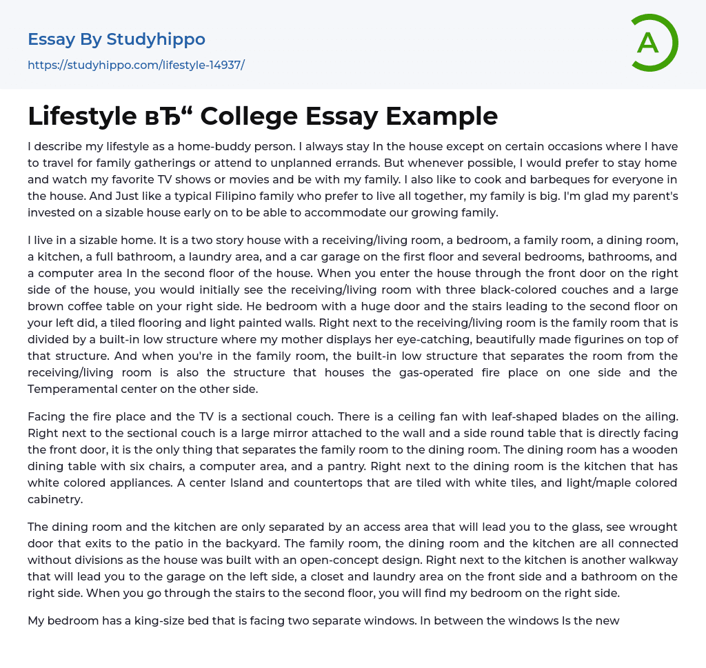 Lifestyle College Essay Example