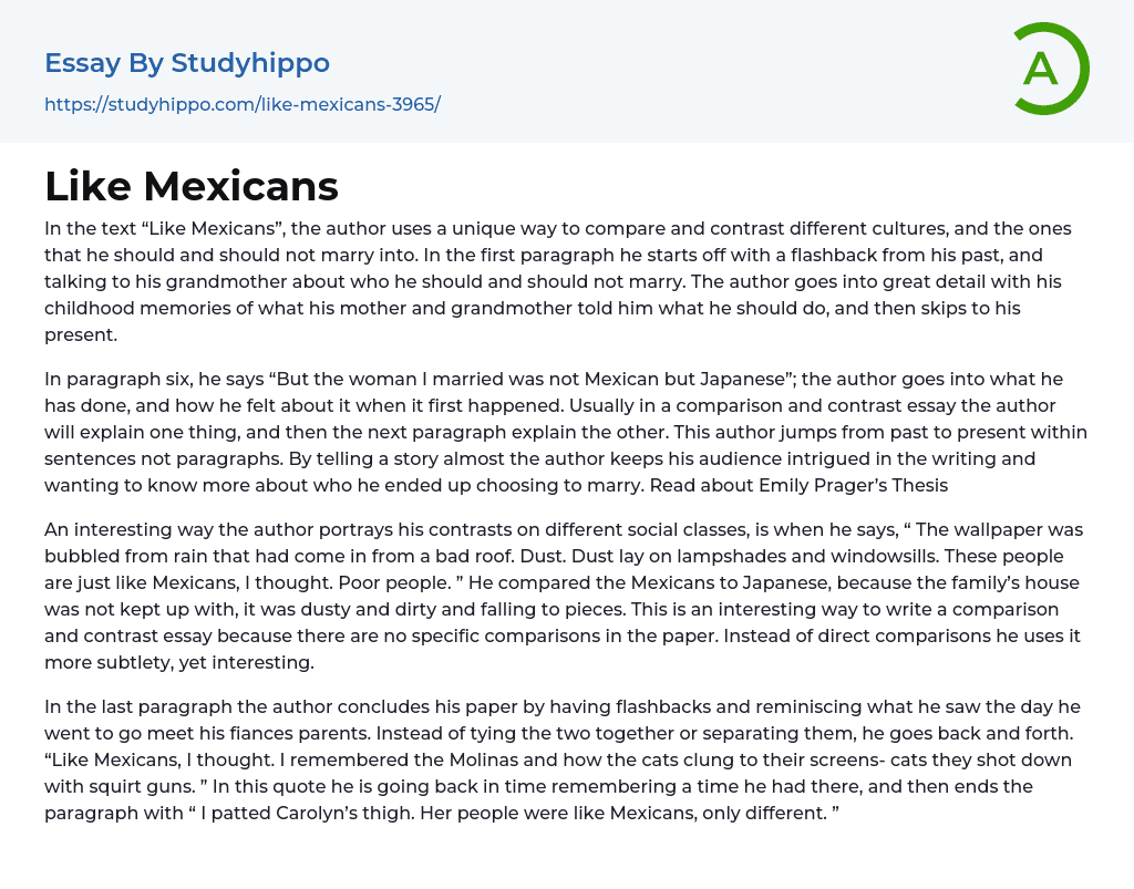 Like Mexicans Essay Example