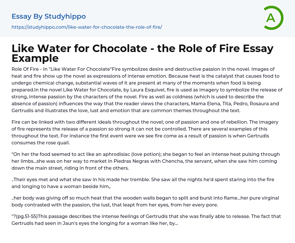 Like Water for Chocolate – the Role of Fire Essay Example