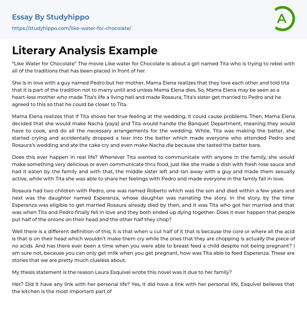 Literary Analysis Example Essay Example