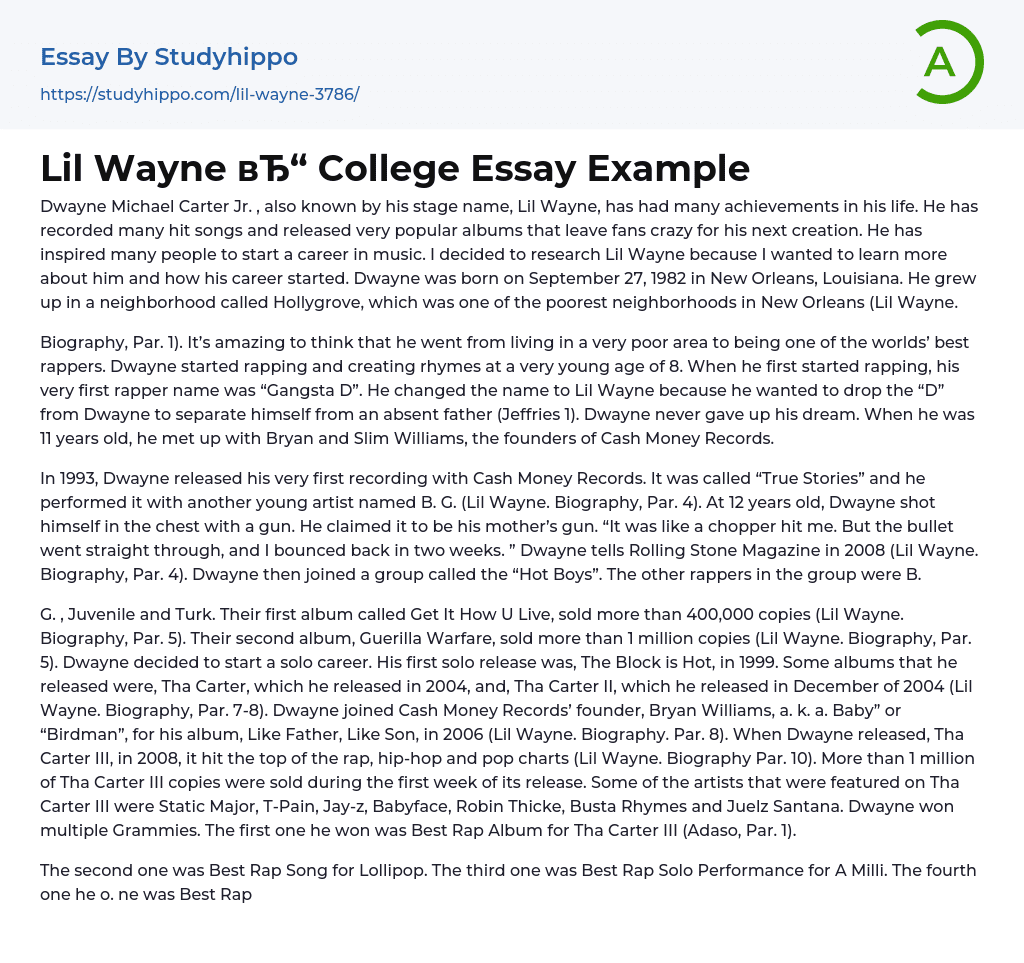 Lil Wayne College Essay Example