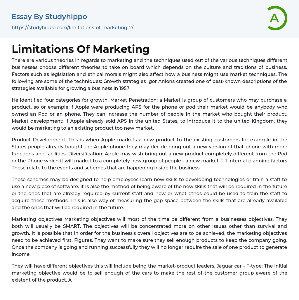 Limitations Of Marketing Essay Example