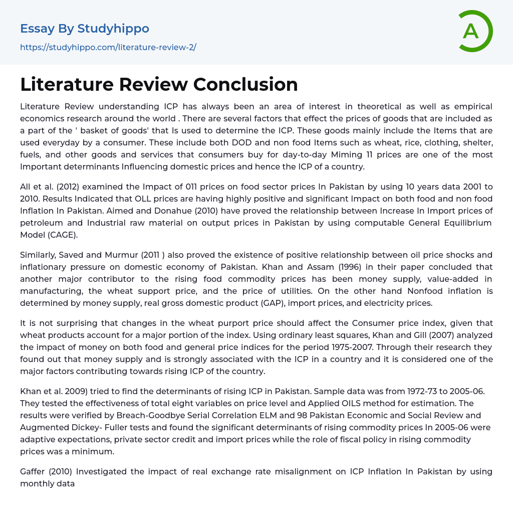 Literature Review Conclusion Essay Example
