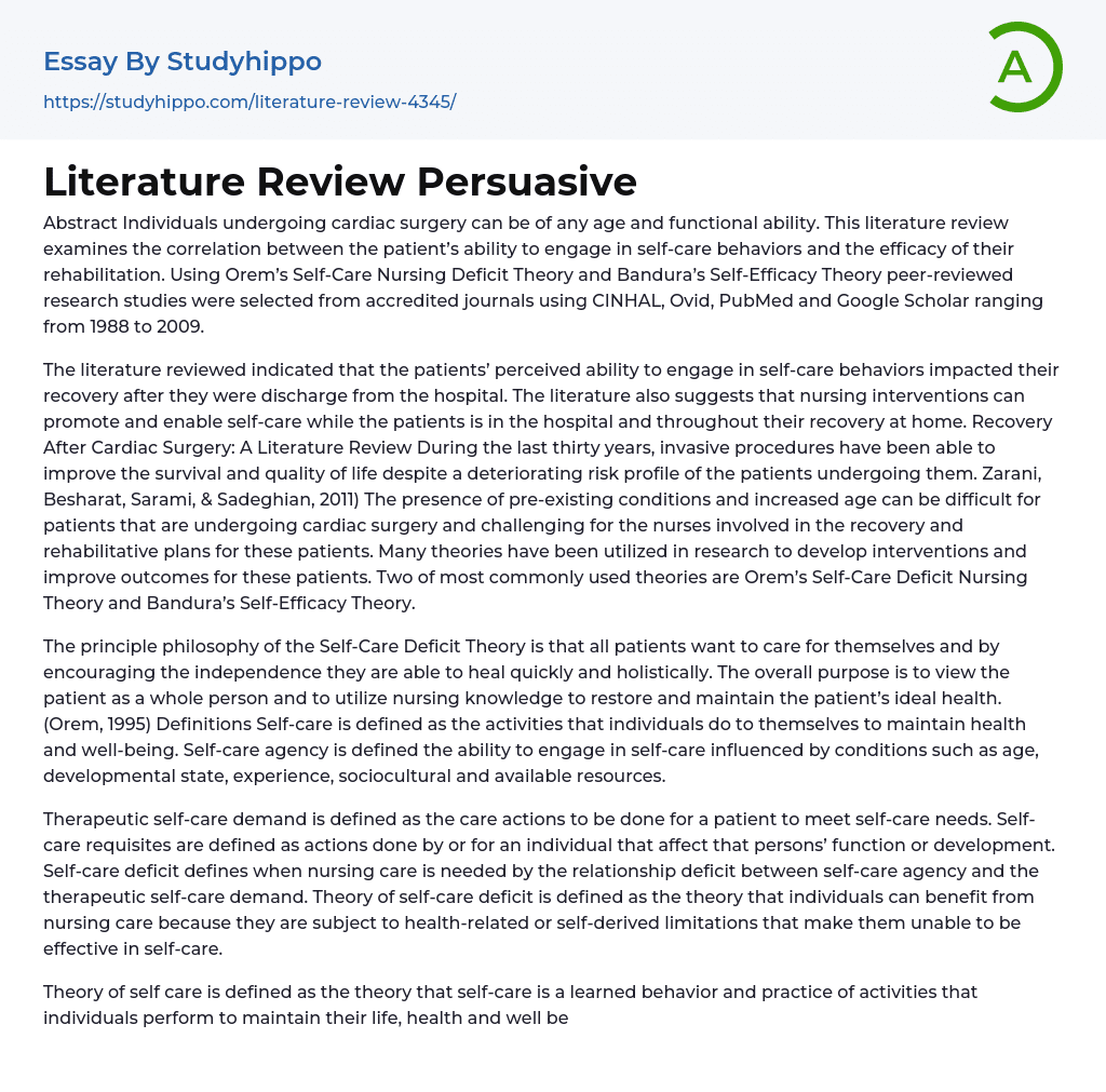 Literature Review Persuasive Essay Example