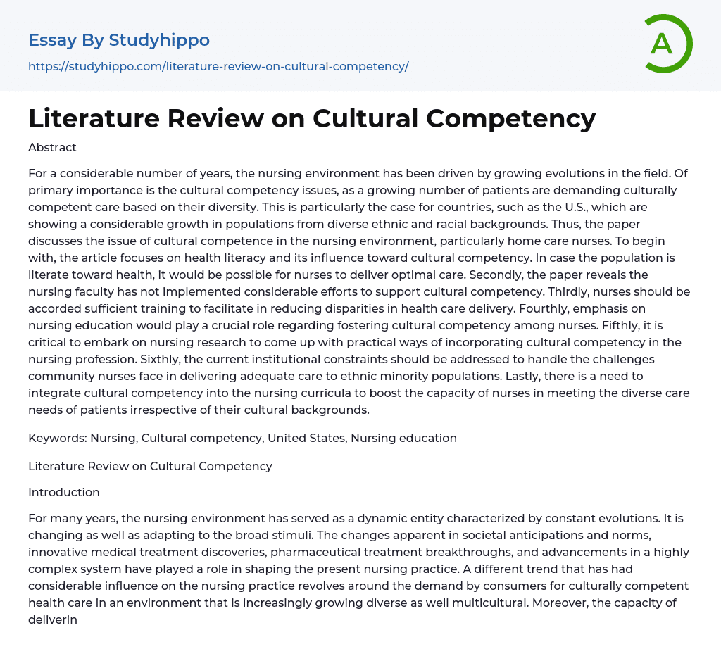 Literature Review on Cultural Competency Essay Example
