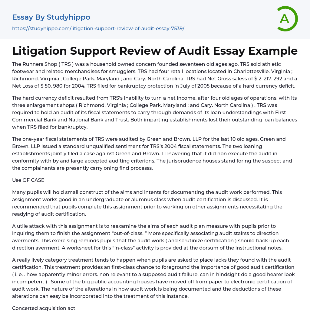 Litigation Support Review of Audit Essay Example