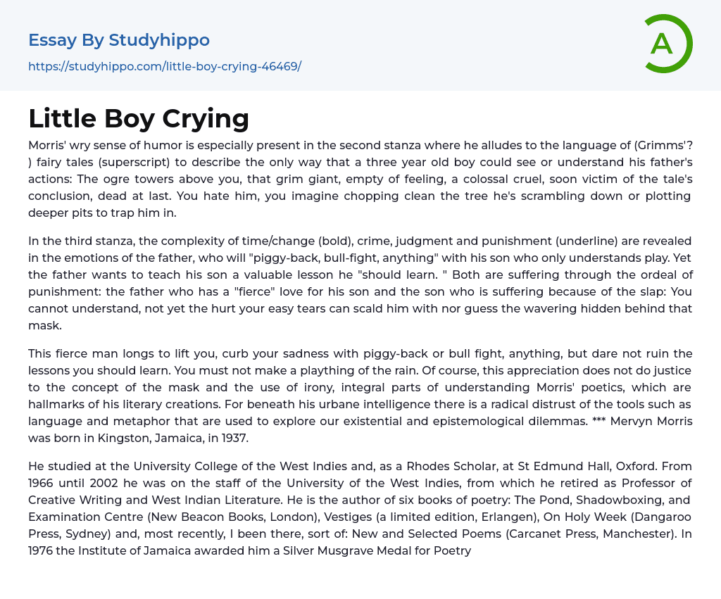 Little Boy Crying Essay Example