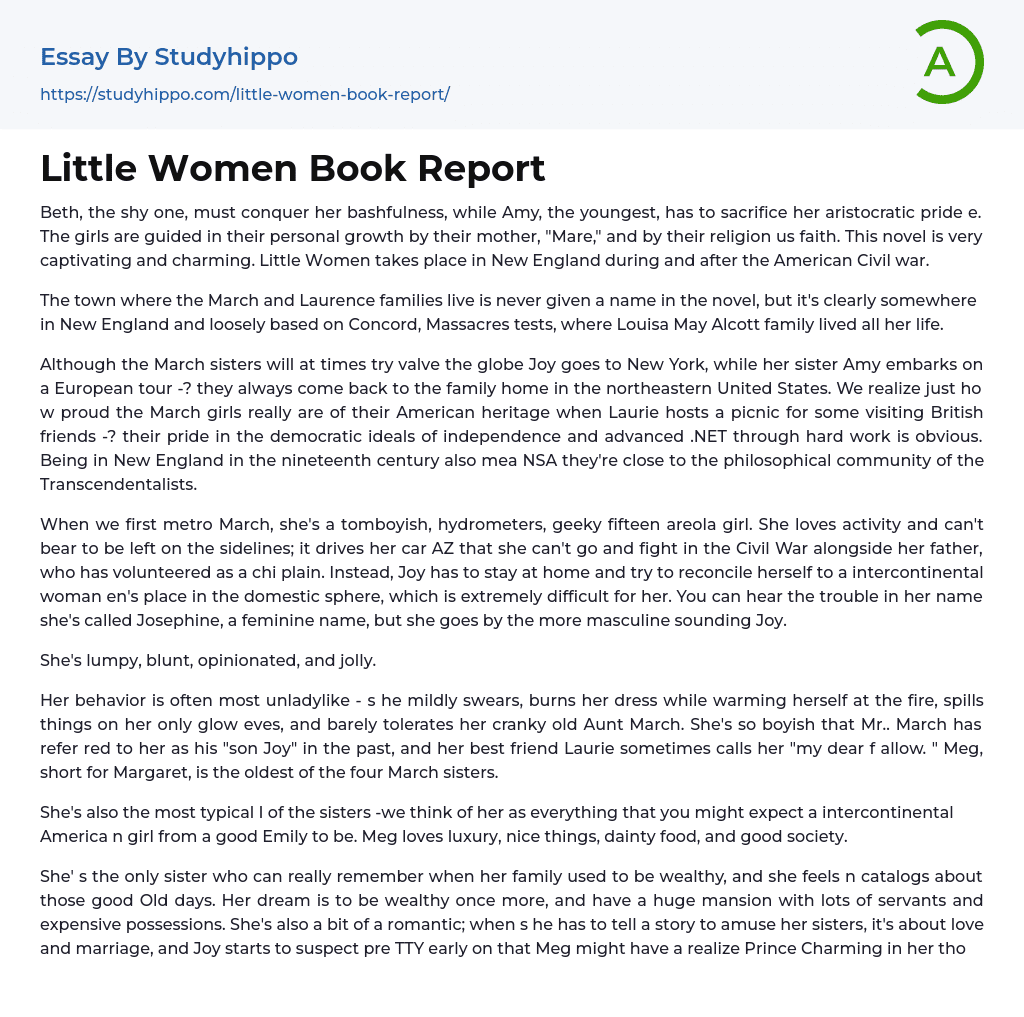 Little Women Book Report Essay Example