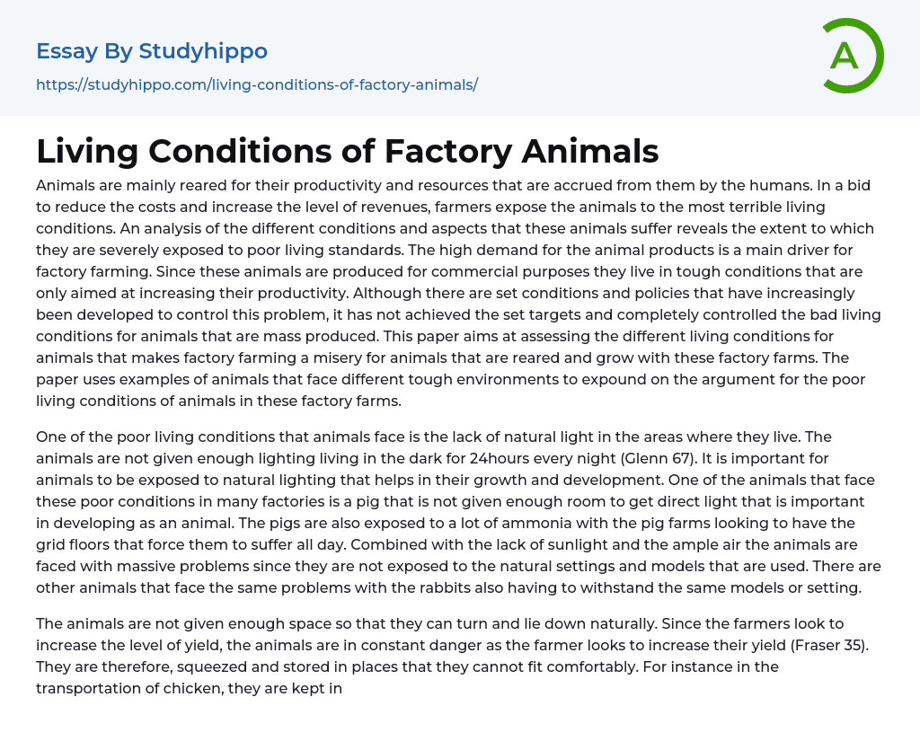 Living Conditions of Factory Animals Essay Example