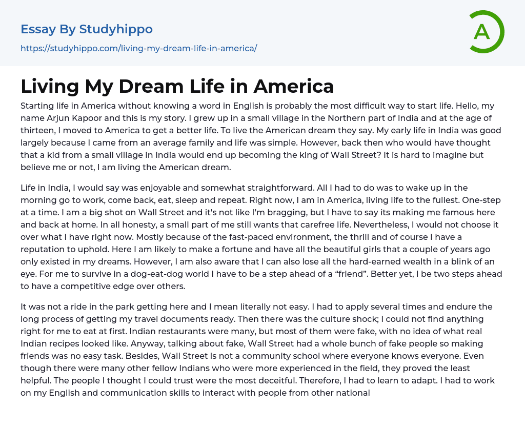 Living My Dream Life in America Essay Example