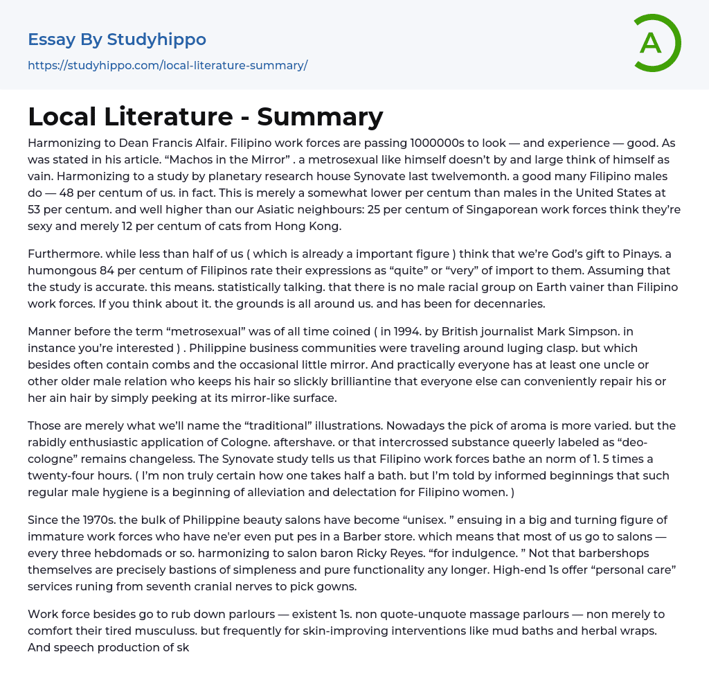 Local Literature – Summary Essay Example