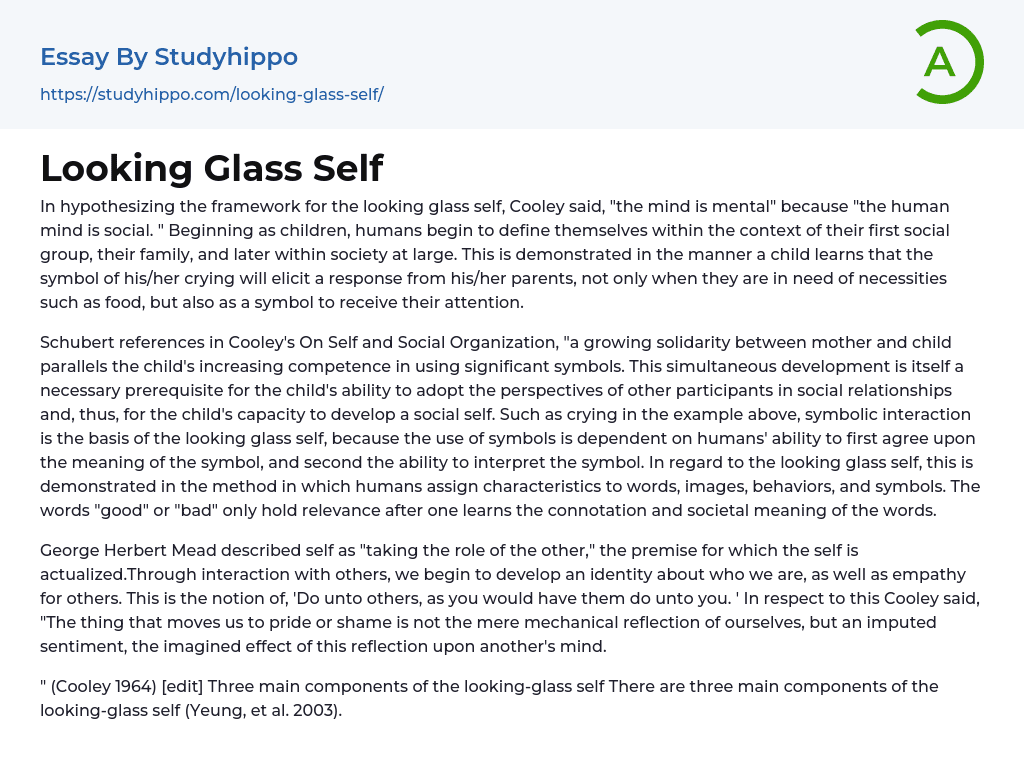 Looking Glass Self Essay Example