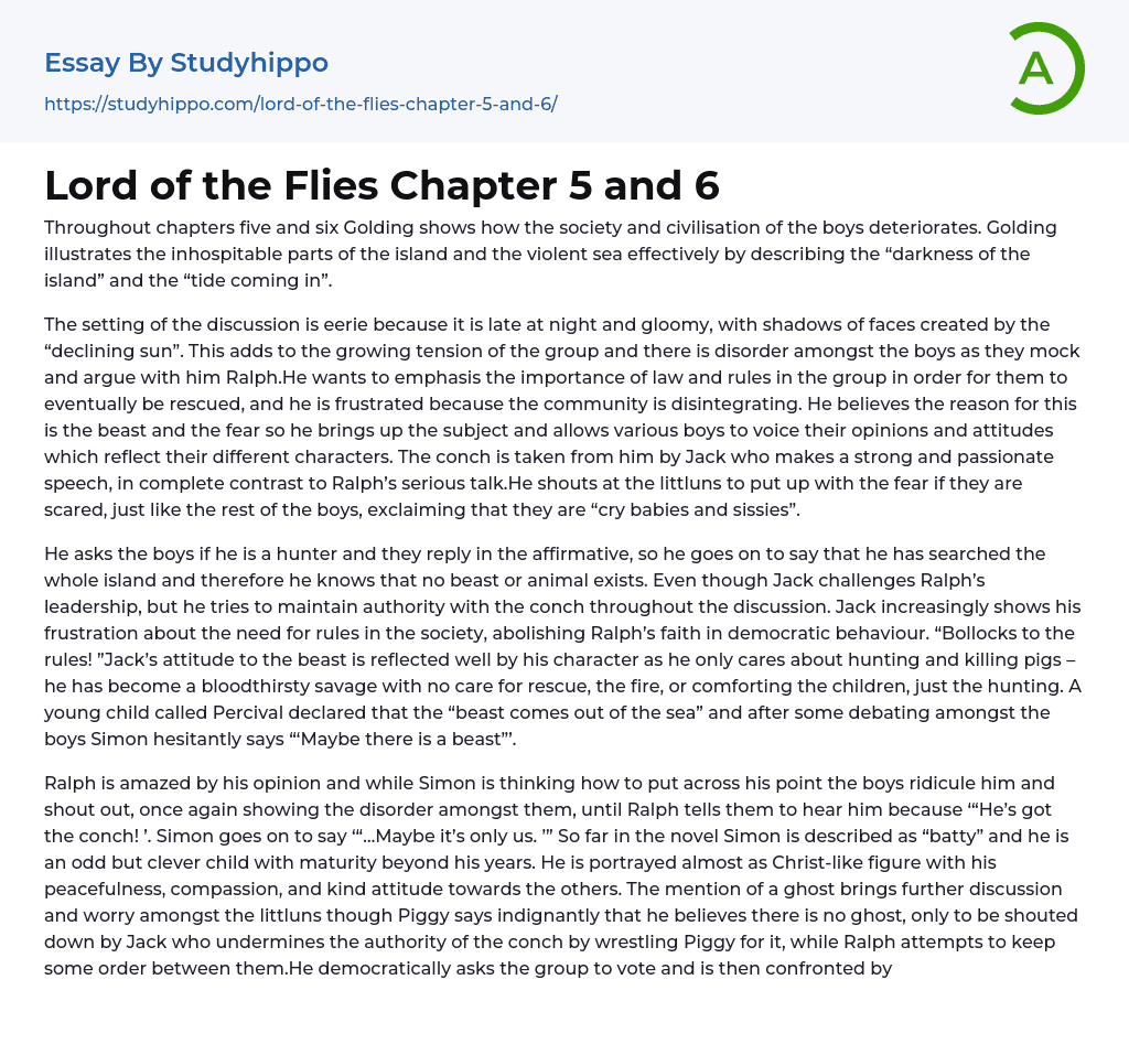 Lord of the Flies Chapter 5 and 6 Essay Example