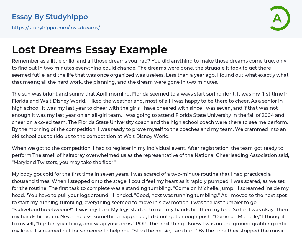 Lost Dreams Essay Example