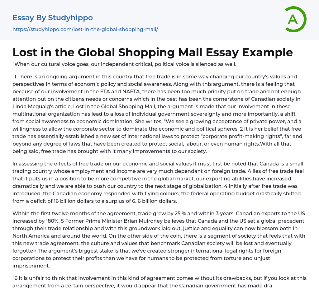 Lost in the Global Shopping Mall Essay Example
