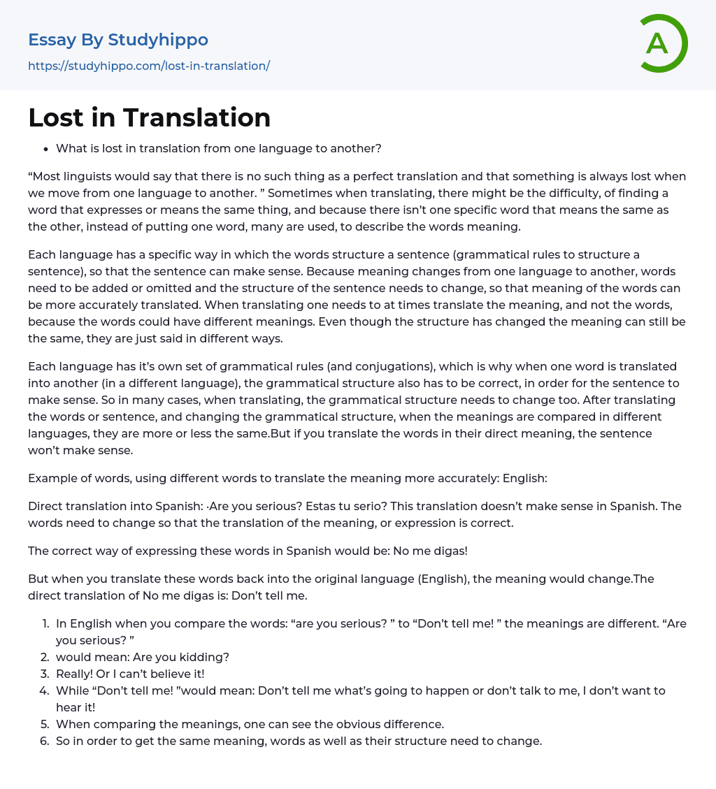 Lost in Translation Essay Example