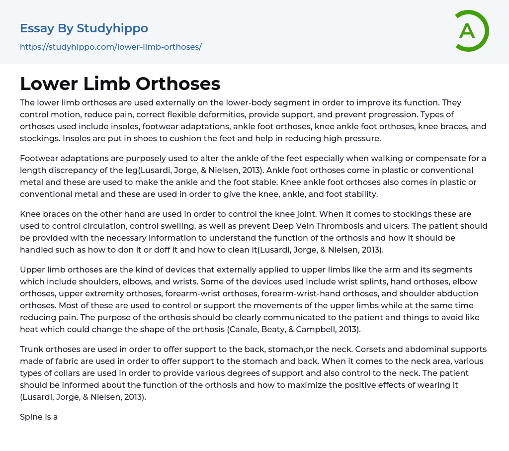 Lower Limb Orthoses Essay Example