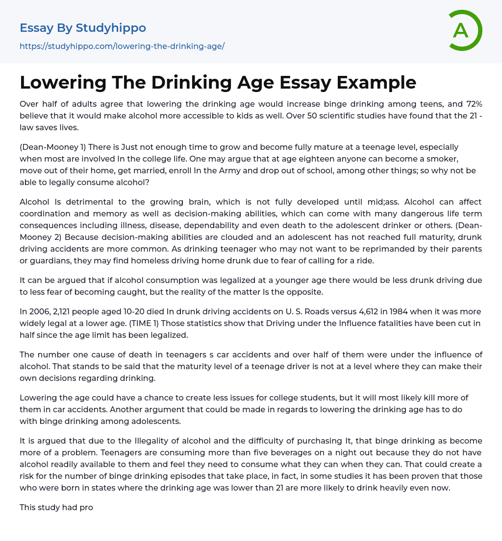 Lowering The Drinking Age Essay Example