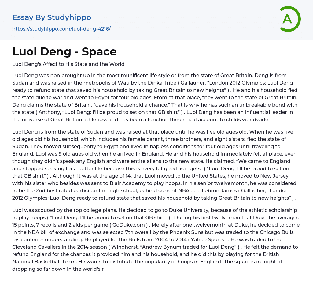 Luol Deng – Space Essay Example