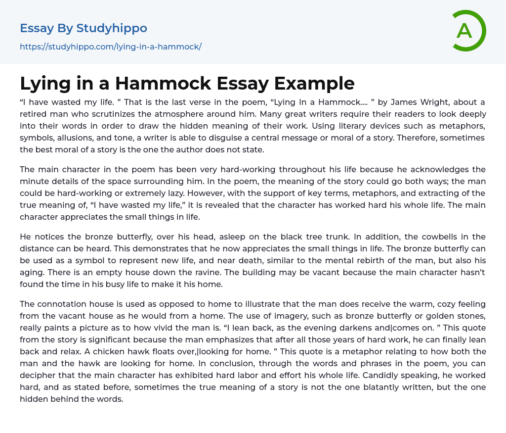 Lying in a Hammock Essay Example