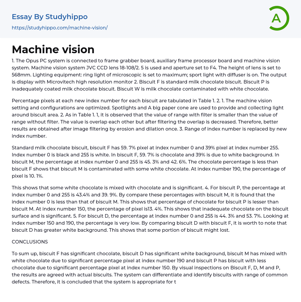 Machine vision Essay Example