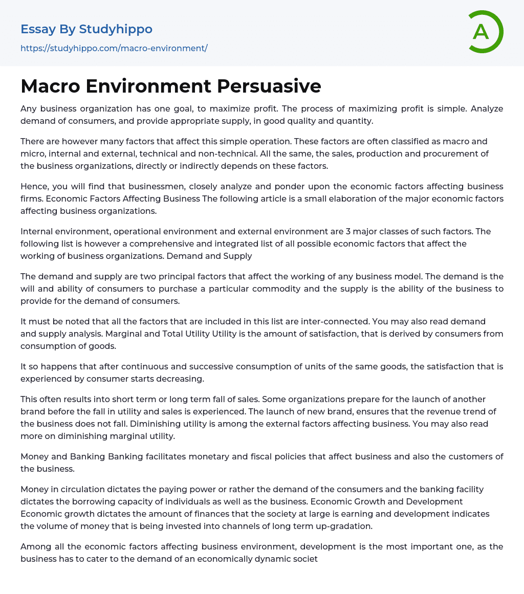 Macro Environment Persuasive Essay Example